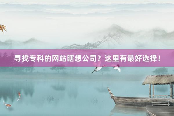 寻找专科的网站瞎想公司？这里有最好选择！